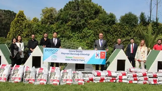 Can dostlara atıklardan barınak yaptılar