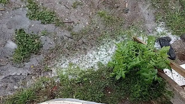 Erciş'te yağmur ve dolu yağışı