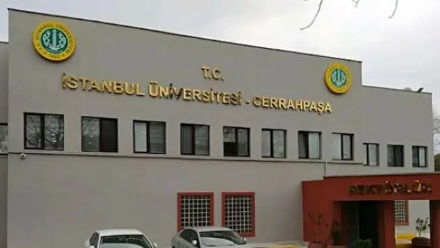 İstanbul Üniversitesi Cerrahpaşa Rektörlüğü'nden akademik personel alım ilanı