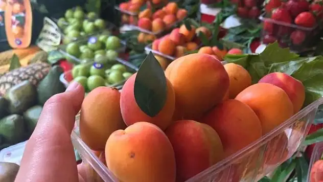 Kayısının kilosu 50 TL'den tezgâhta