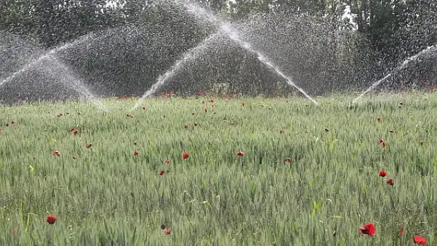 Buğday üreticisi yağmur bekliyor