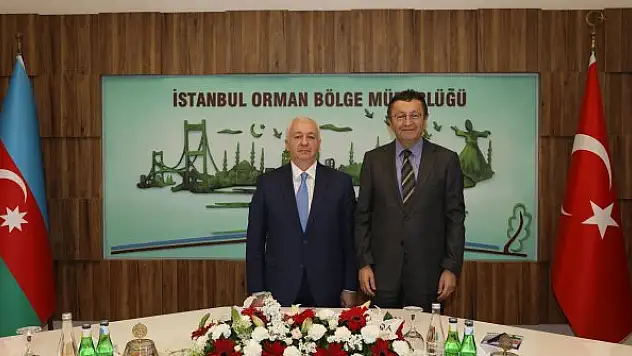 Türkiye ve Azerbaycan orman yangınlarına karşı iş birliği yapacak