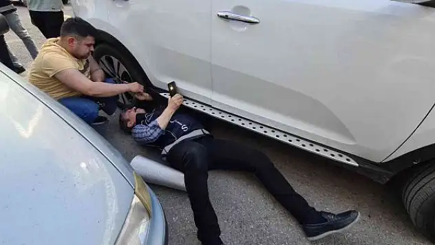 Polis ekiplerinden kedi kurtarma operasyonu