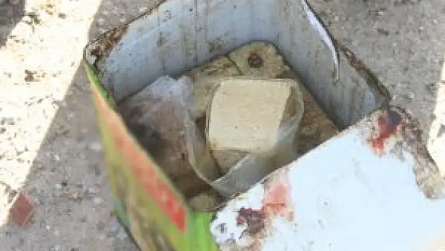 Konya'da 13 ton kokmuş peynir ele geçirildi!