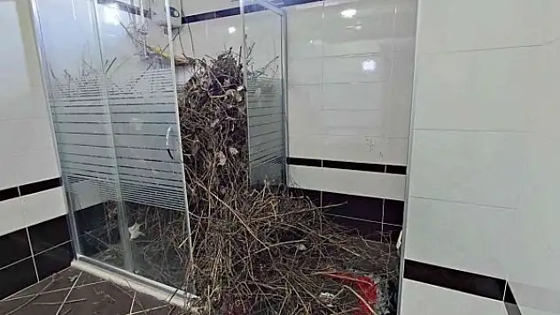 Kargalar evi bakın ne hale getirdi