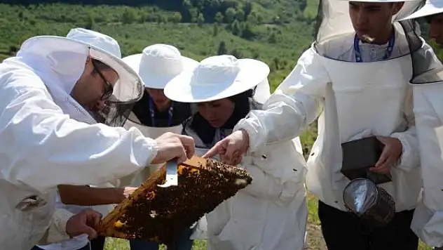 Ekosistemin geleceği arıların kanatlarında