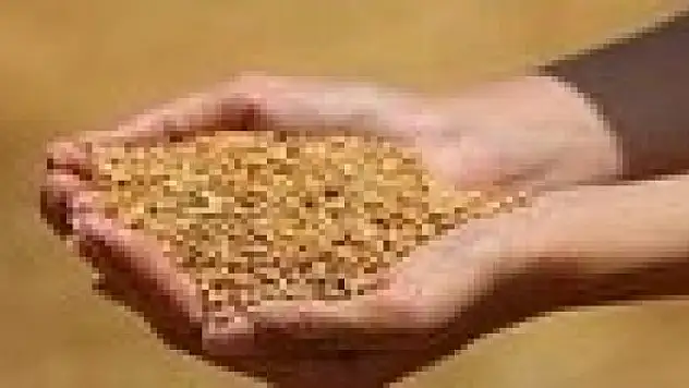 Edirne'de buğday 5,640 TL'den satıldı