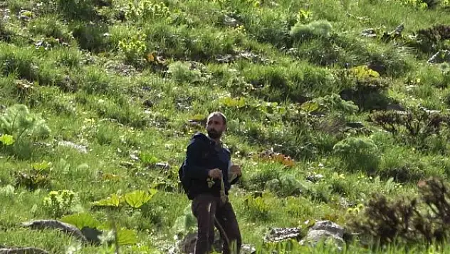 Sarp dağların ardında zorlu ekmek mücadelesi