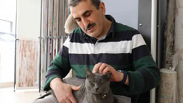 Beslemek için aldığı kedi can dostu oldu