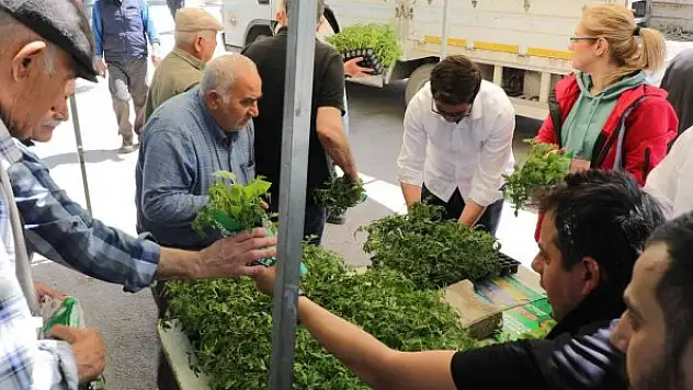 Ücretsiz fide dağıtımı başladı