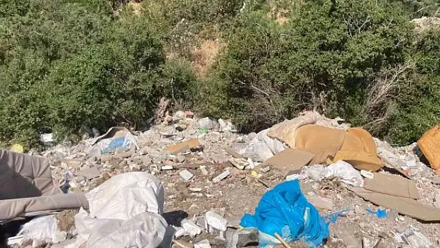 Çevre katliamıyla gece gündüz mücadele devam ediyor