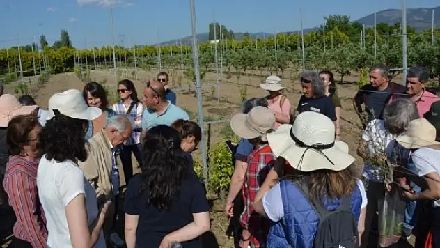Uygulamalı Bahçıvanlık Kursu tamamlandı