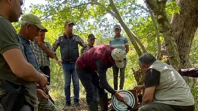 Yaban hayatı için su yalakları yerleştirildi