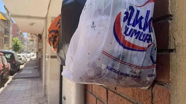 Bu sokakta çöpler duvara asılıyor