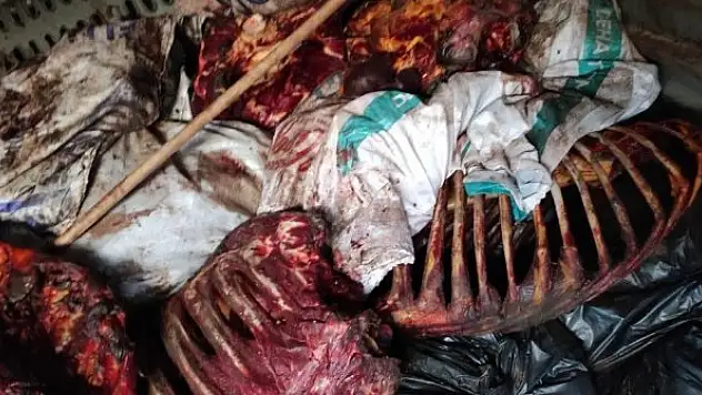 Çürümeye yüz tutmuş 3 bin 660 kilo at eti ele geçirildi