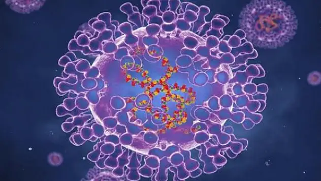 New York'ta ilk maymun çiçeği vakası tespit edildi