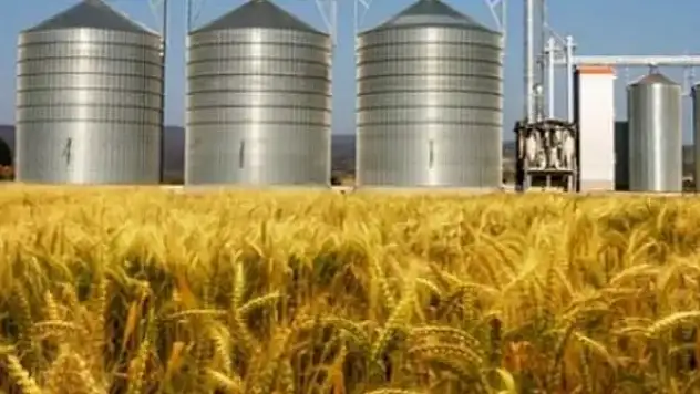 Mısır, buğday krizini Hz. Yusuf'un yöntemi ile çözecek