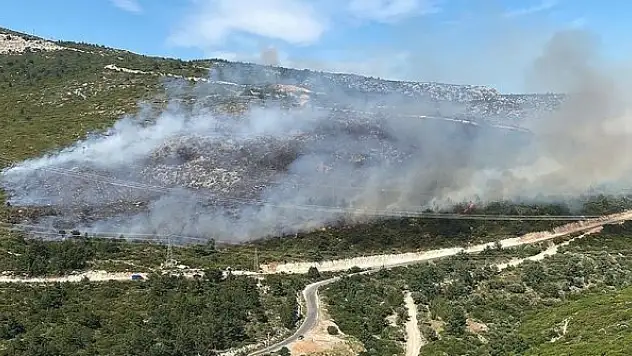 İzmir'in Urla ve Dikili ilçelerinde ormanlık alanlarda yangın çıktı