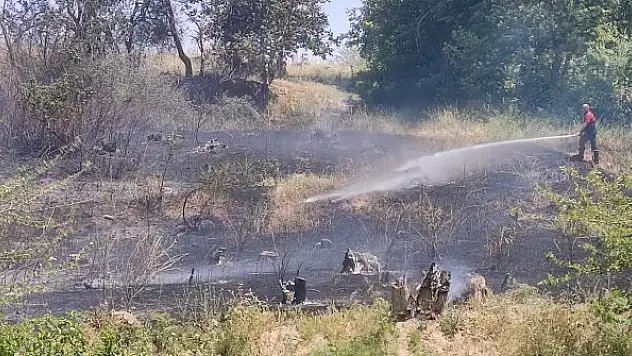 Nusaybin'de ağaçlık alanda çıkan yangın büyümeden söndürüldü