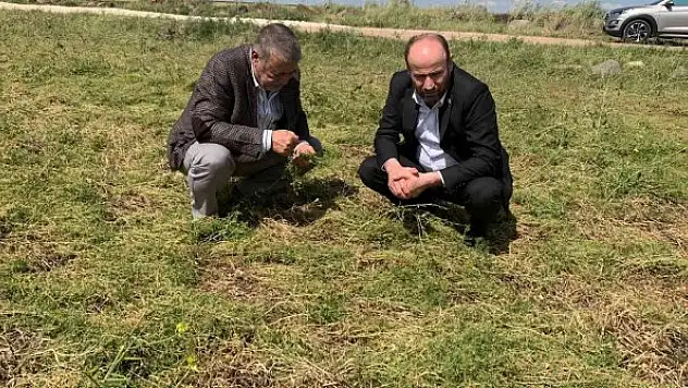 Kuraklık ve dolu nedeniyle zarar gören tarım arazilerinde hasar tespiti sürüyor