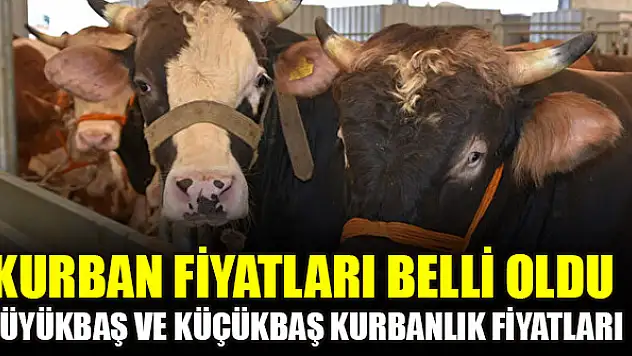 Kurban fiyatları belli oldu: İşte büyükbaş ve küçükbaş kurbanlık için istenen rakamlar