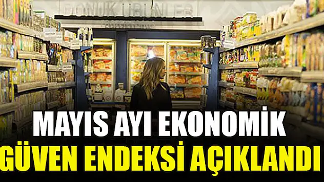 Mayıs ayı ekonomik güven endeksi açıklandı