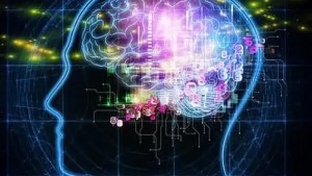 İnsan beyninde önemli keşif