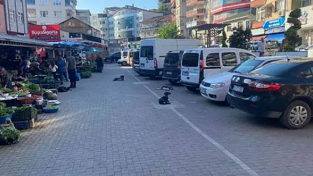 260 yıllık pazardaki bakımsızlık satıcıları bezdirdi