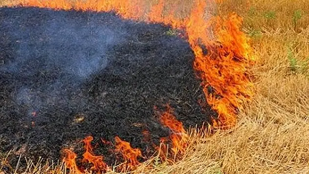 Çiftçilere 'Anız Yakmayın' uyarısı