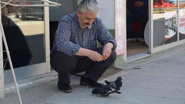 Ordu'da berberin güvercinlerle dostluğu