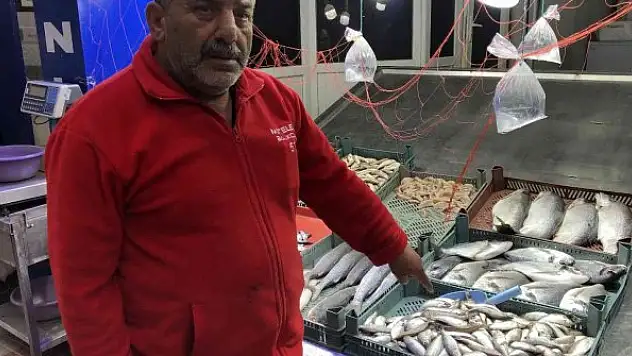 Tezgahları kıyı balıkları süslüyor