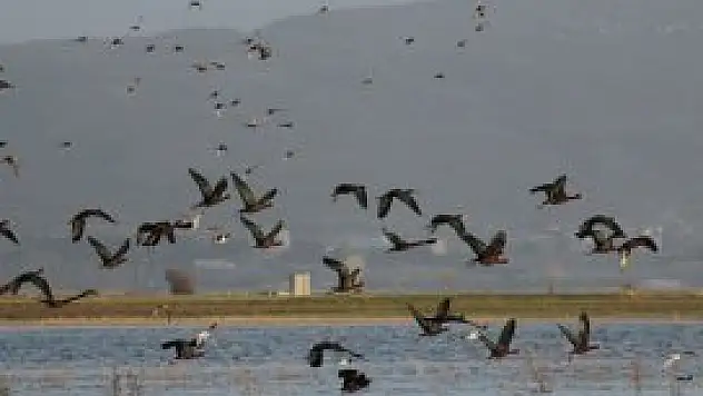 66 kuş türüne ev sahipliği yapıyor