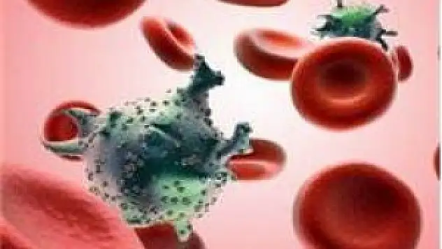 AIDS her yıl ortalama 1 milyon can alıyor