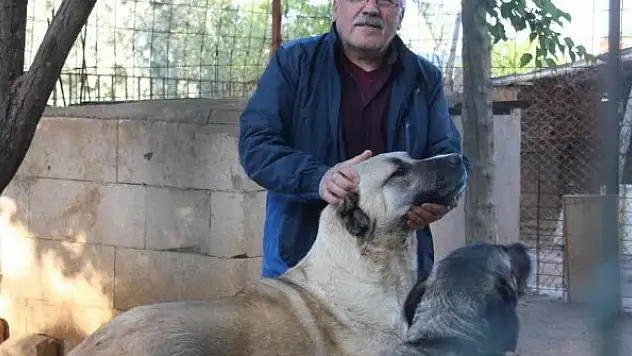 Köpeğine protez diş yaptı