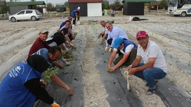 Karapınar'da organik tarım ve çilek yetiştiriciliği eğitimi veriliyor