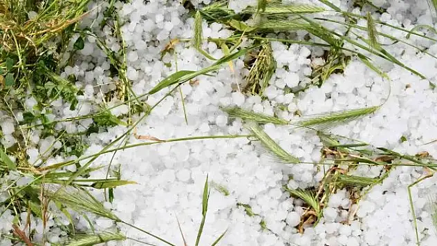 Dolu yağışı ekili tarım arazilerini vurdu