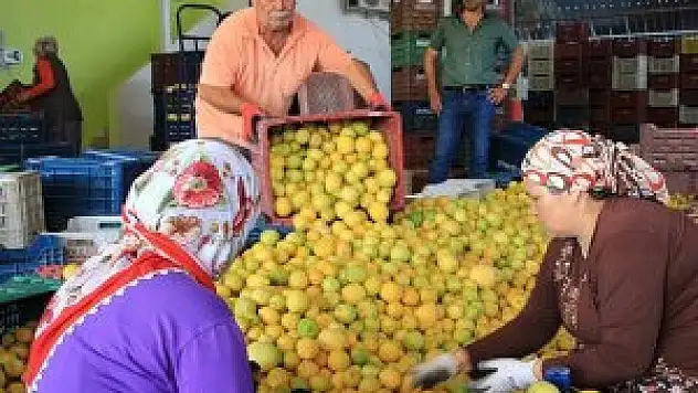 Haziranda en çok limonun fiyatı arttı