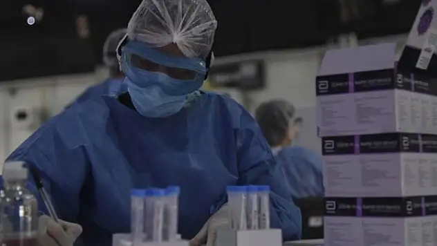 DSÖ, dünyada 550 maymun çiçeği vakası bulunduğunu açıkladı