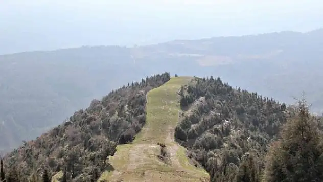 Ormanlık alanlara girişler yasaklandı