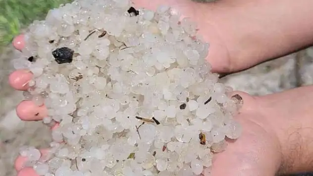 Ekili tarım arazileri zarar gördü