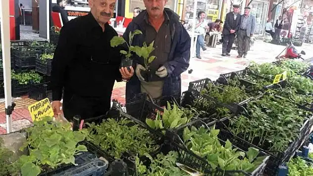 Fide satıcılarının yüzü güldü