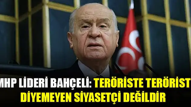 MHP lideri Bahçeli: Teröriste terörist diyemeyen siyasetçi değildir