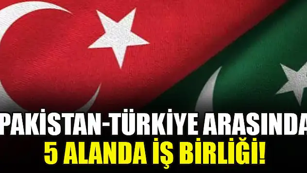 Pakistan-Türkiye arasında 5 alanda iş birliği!