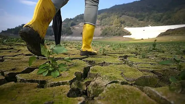 İklim değişikliği eğitimi 7'den 70'e ilgi gördü
