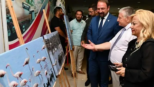 'Flamingo Adası' fotoğraf sergisi kapılarını açtı