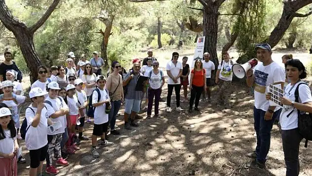 Ormandan torbalarca çöp çıktı