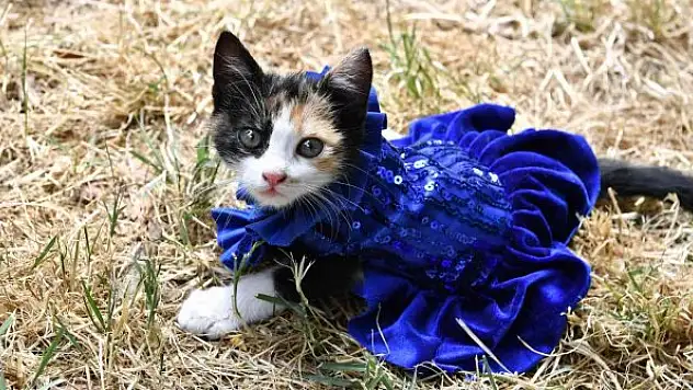 Can dostlar çevre için podyuma çıktı