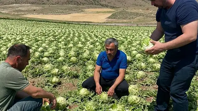 Sağanak ve dolu tarım arazilerine zarar verdi