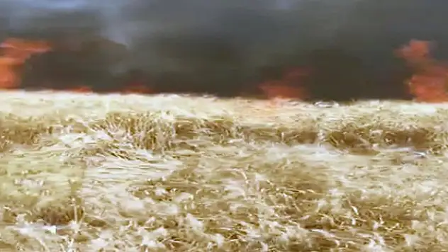 55 dönüm ekili buğday yandı