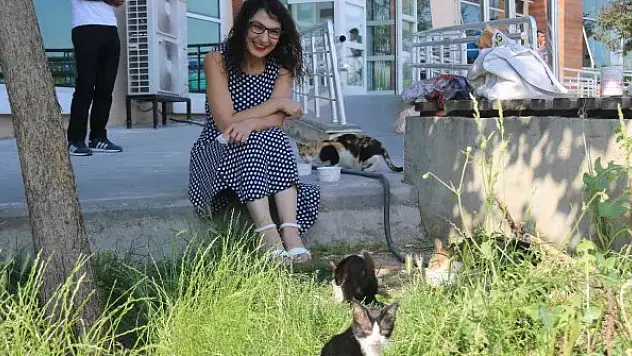 Hayvan fobisi olan doktor, şimdilerde kedilere mama vermeden kliniğine geçmiyor